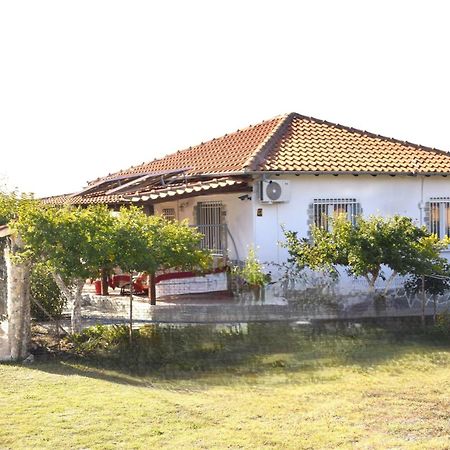 Amarantos Beautiful Garden House Villa Metokhion Patriotikon Buitenkant foto